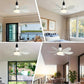 🌞Frühlingserwachen: 50% Rabatt!🌬️2-in-1 E27 Deckenventilator mit Lampe – Dimmbarer Sockelventilator mit Fernbedienung, Timer und 3 Geschwindigkeiten