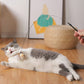 🔥HOT SALE 50%OFF🐱 Keep Your Cat Happy & Active All Day 🐦✨