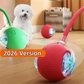 🌞Frühlingserwachen: 50% Rabatt!🐶Der Ball, der alleine spielt: Automatisches Hundespielzeug mit USB-C & 2 Geschwindigkeiten