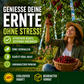 Wintrre™ Vogelabwehr Band