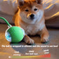 🌞Frühlingserwachen: 50% Rabatt!🐶Der Ball, der alleine spielt: Automatisches Hundespielzeug mit USB-C & 2 Geschwindigkeiten