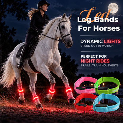 🎃 50 % HALLOWEEN-RABATT! 🐴 LED-Leuchtbänder fürs Pferd – 4er-Set für bessere Sichtbarkeit! ✨
