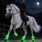 🎃 50 % HALLOWEEN-RABATT! 🐴 LED-Leuchtbänder fürs Pferd – 4er-Set für bessere Sichtbarkeit! ✨