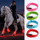 🎃 50 % HALLOWEEN-RABATT! 🐴 LED-Leuchtbänder fürs Pferd – 4er-Set für bessere Sichtbarkeit! ✨
