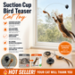🔥HOT SALE 50%OFF🐱 Keep Your Cat Happy & Active All Day 🐦✨