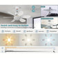 🌞Frühlingserwachen: 50% Rabatt!🌬️2-in-1 E27 Deckenventilator mit Lampe – Dimmbarer Sockelventilator mit Fernbedienung, Timer und 3 Geschwindigkeiten