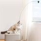 🔥HOT SALE 50%OFF🐱 Keep Your Cat Happy & Active All Day 🐦✨