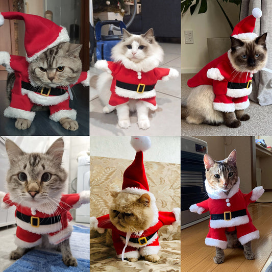 Herbst- und Winter-Weihnachtskleidung für Katzen und Hunde