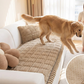🎃Halloween-Angebot 50 % RABATT!🐾Gesteppter Cord-Sofaschoner – Rutschfester, haustierfreundlicher Sitzbezug