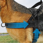 Heavy-Duty Tactical Dog Harness with Handle