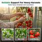 🌞Frühlingserwachen: 50% Rabatt!🌻100-teilige Schnellklett-Pflanzenclips – Unsichtbare Pflanzenstütze für Tomaten, Gurken & Kletterpflanzen – Belüftet & UV-beständig
