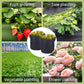 🌞Frühlingserwachen: 50% Rabatt!🌱Atmungsaktiver Stoff-Pflanzbeutel für Pflanzen – Geotextil-Wachstumsbeutel für Balkon, Terrasse und Gemüsegarten