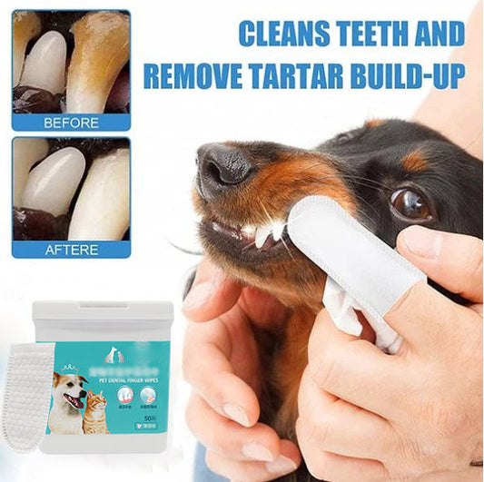 ❄️Sommerfrische 50 % Rabatt!🦷Fingerlinge zur Zahnreinigung für Hund & Katze – Milde Zahnpflegetücher für frischeren Atem