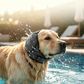❄️Sommerfrische 50 % Rabatt!🐶Hunde-Ohrenschützer gegen Angst, Feuerwerk & Wasser – Schalldämpfender Neoprenschutz