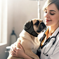 ❄️Sommerfrische 50 % Rabatt!🐶Hunde-Ohrenschützer gegen Angst, Feuerwerk & Wasser – Schalldämpfender Neoprenschutz