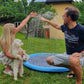 ❄️Sommerfrische 50 % Rabatt!🐶Faltbares Hundeschwimmbecken mit Wassersprüher – Kühlende Planschmatte für Garten, Terrasse & sommerliche Spieltage