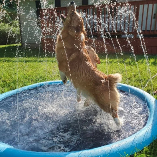 ❄️Sommerfrische 50 % Rabatt!🐶Faltbares Hundeschwimmbecken mit Wassersprüher – Kühlende Planschmatte für Garten, Terrasse & sommerliche Spieltage