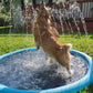 ❄️Sommerfrische 50 % Rabatt!🐶Faltbares Hundeschwimmbecken mit Wassersprüher – Kühlende Planschmatte für Garten, Terrasse & sommerliche Spieltage