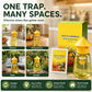 ❄️Sommerfrische 50 % Rabatt!🌿Wiederverwendbare Fliegenfalle mit Lockstoff – Insektizidfreier Fruchtfliegenfänger für Küche, Terrasse & Garten