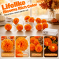 👻Halloween-spesialtilbud🎃🧡Kunstig ringblomst LED-lyslenke