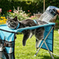 ❄️Sommerfrische 50% Rabatt!🐾Faltbares Pflegestation für kleine Hunde und Katzen – Praktischer Trimmtisch für Krallenschneiden, Waschen und Bürsten