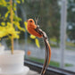 🔥50 % Rabatt! 🐦Interaktives Saugnapf‑Vogel Katzenspielzeug - Für eine glückliche und aktive Katze den ganzen Tag🐱