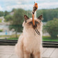 🔥50 % Rabatt! 🐦Interaktives Saugnapf‑Vogel Katzenspielzeug - Für eine glückliche und aktive Katze den ganzen Tag🐱