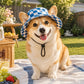 💥 50% Rabatt! 🐶 Sommer-Bucket-Hat für Welpen – ohrfreundliches Design, verstellbare Kinnschlaufe. Mischgewebe, leicht & atmungsaktiv. Sonnenschutz. Größen S–L 🧢