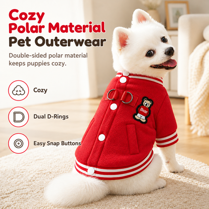 🎃 HALLOWEEN-KNALLER: 50 % RABATT! 🐾 Kuschelige Hunde-Collegejacke mit D-Ringen – Extra warm, bequem & unwiderstehlich süß für kleine und mittelgroße Hunde! 🐶❄️✨